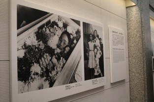 Portrait de Sadako Sasaki et ses grues exposées au musée du mémorial